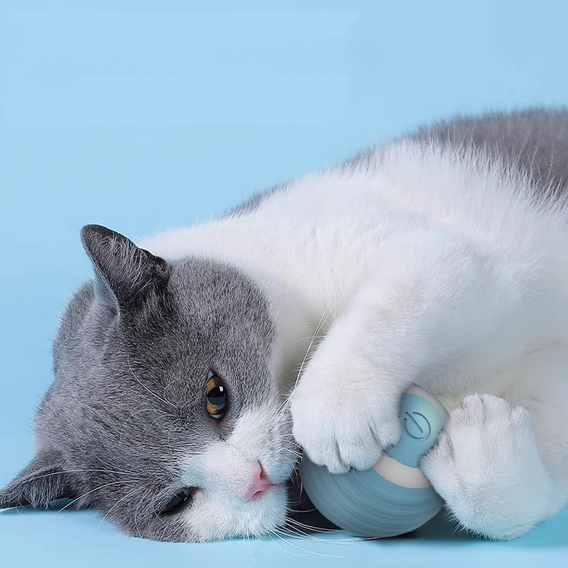 Cat Interactive Ball Smart Cat - Electronics Gadgets Wholesale review and price